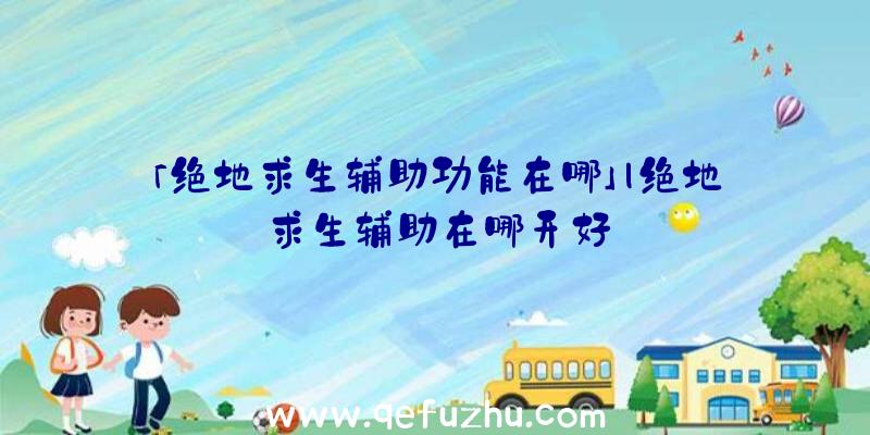 「绝地求生辅助功能在哪」|绝地求生辅助在哪开好